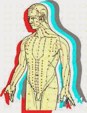 Human body meridians
