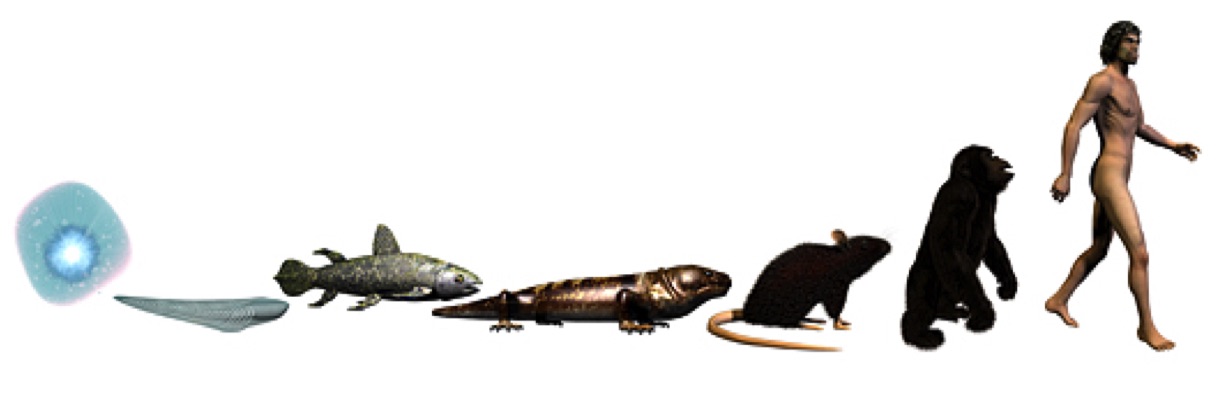 первые люди рыбы. древние люди рыболовство. хомо сапиенс каменный век. рыболовство в древности. чарльз дарвин теория эволюции.