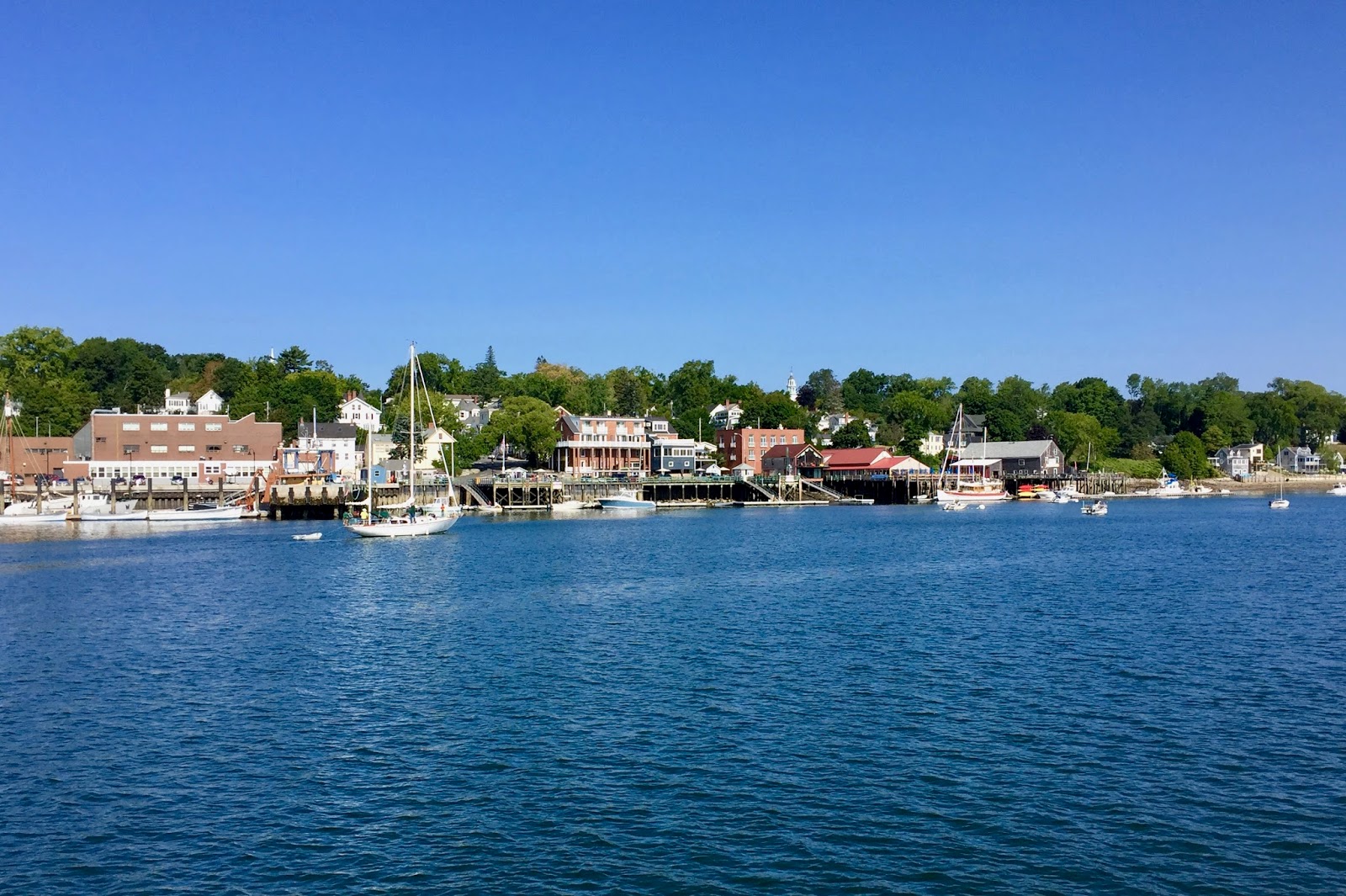 TakingPaws Castine, Maine