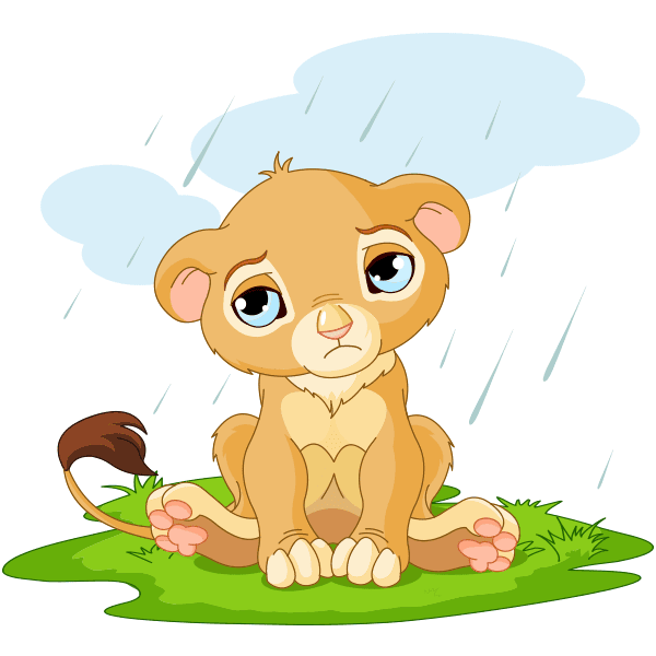 Rainy Day Lion