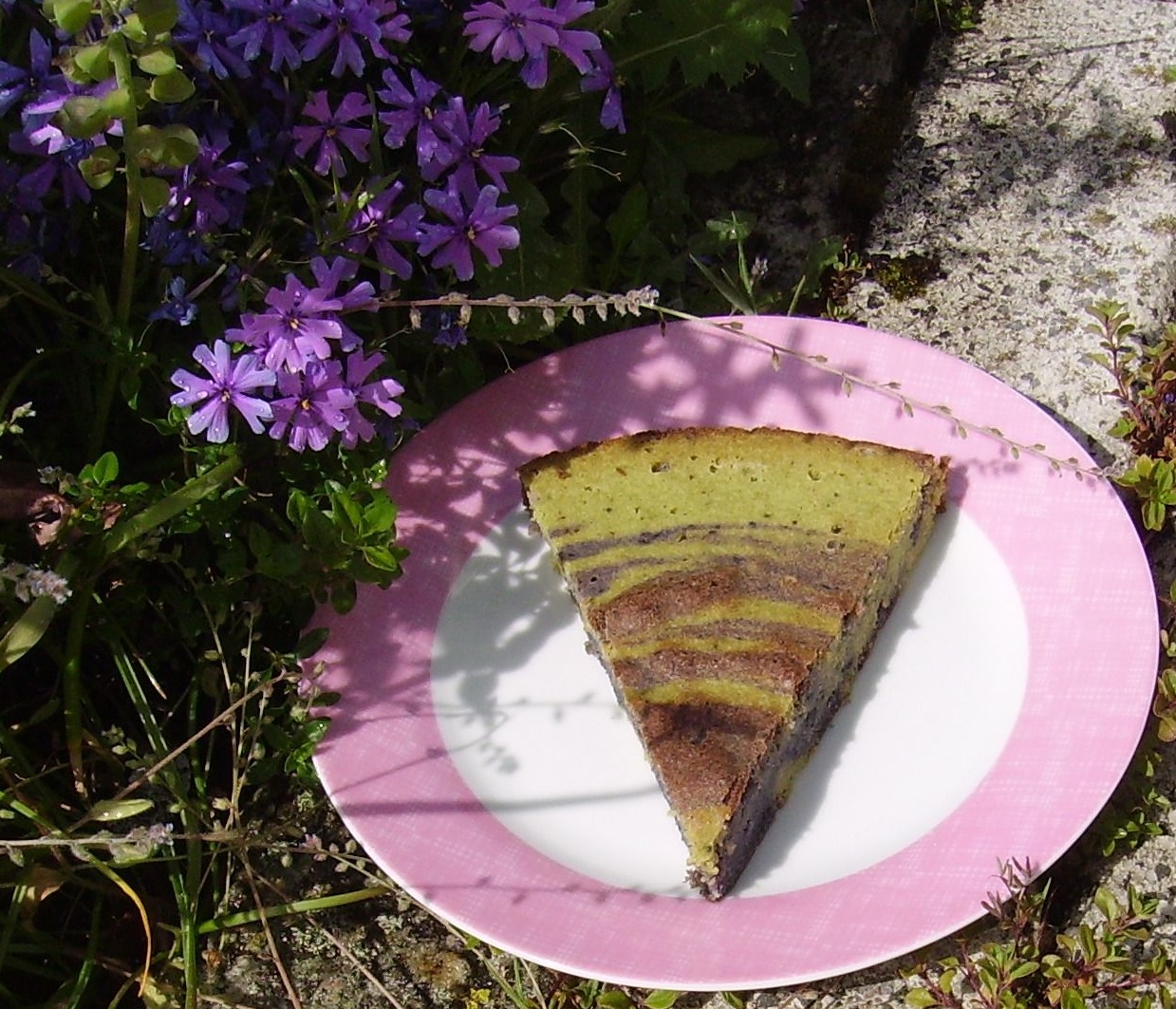 Mia's Glutenfreie Gaumenfreuden MatchaLavendelBlaubeerKuchen