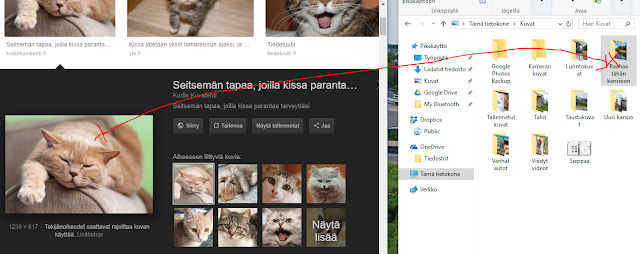 Vittu musta märkä pillua