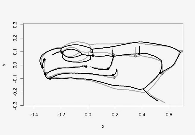Geomorph update 2.1.2 Now Available! | R-bloggers