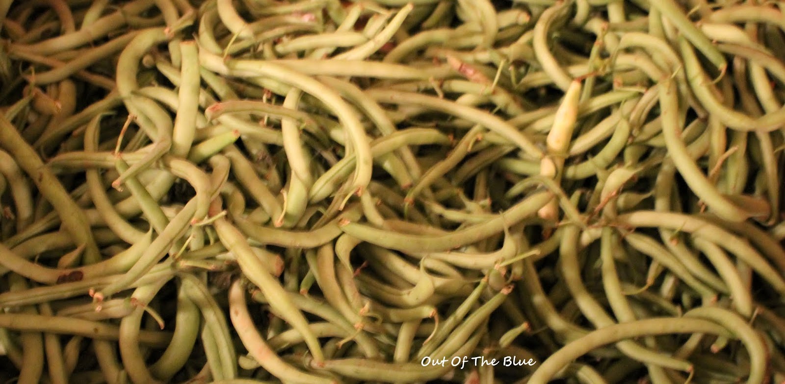 Out Of The Blue How many beans make a bushel?