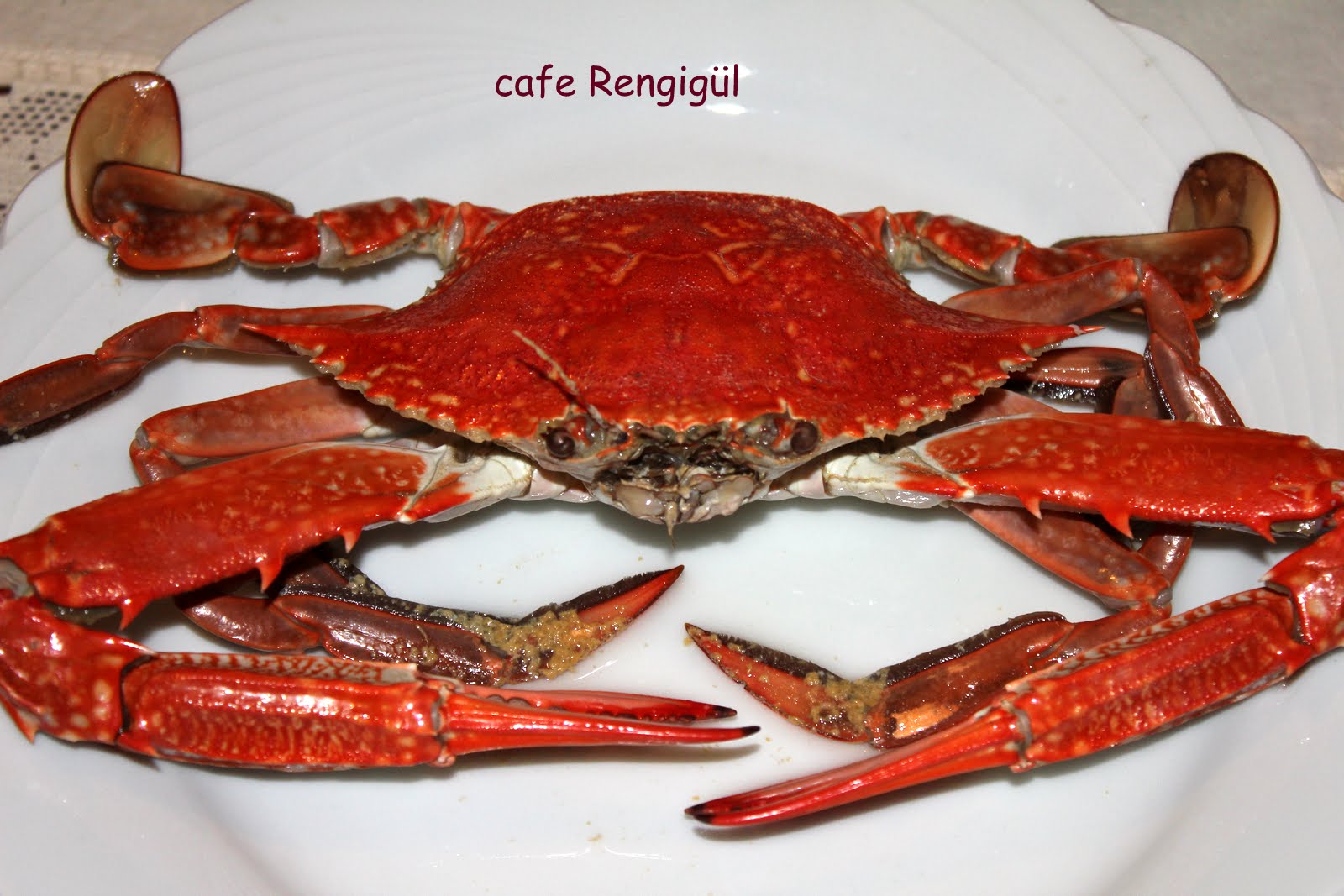 cafe Rengigül MAVİ YENGEÇ