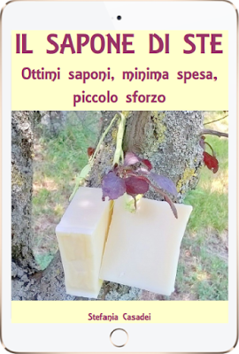 Come trasferire PDF da computer a iPad | nigiara.it