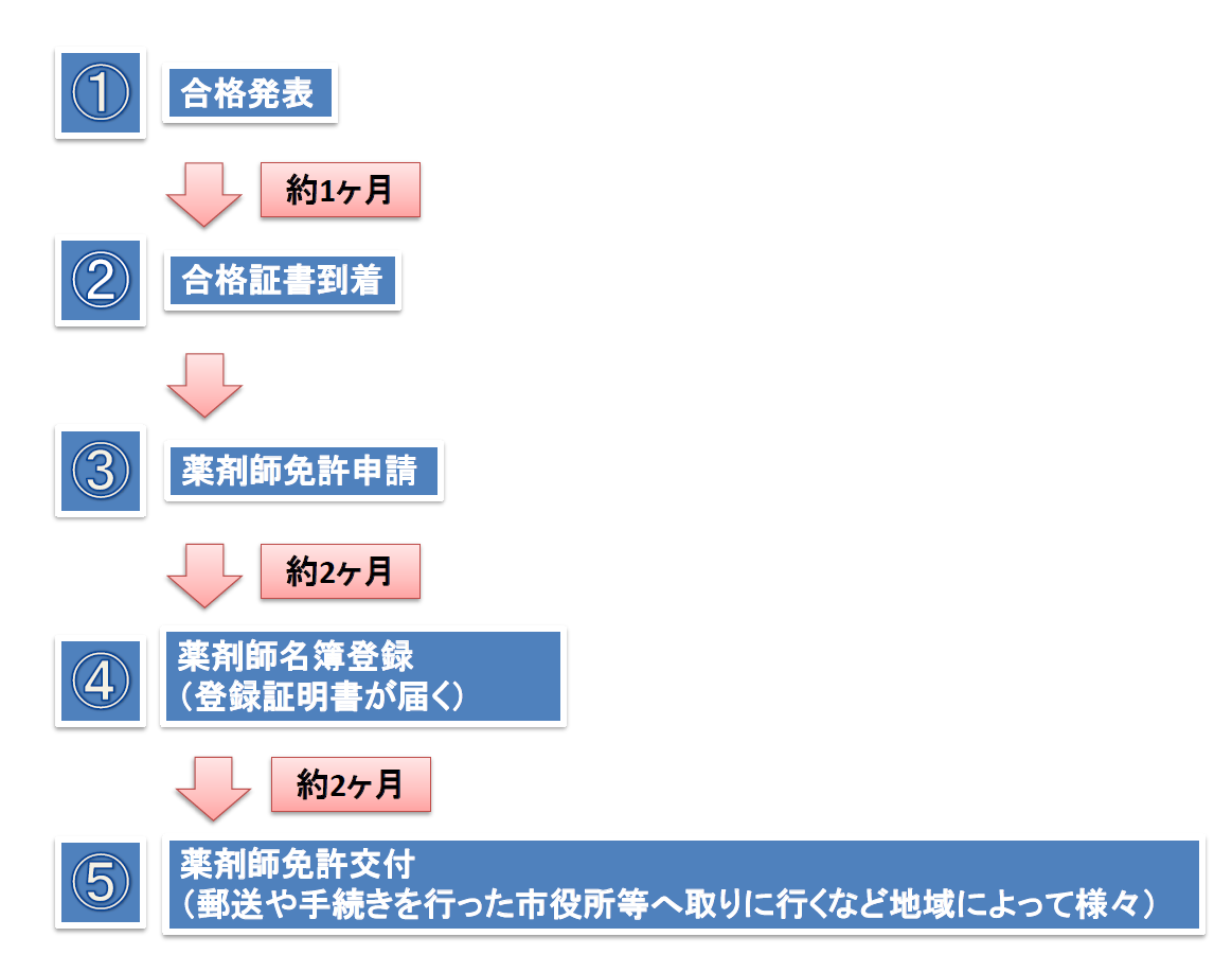 薬剤師免許登録の流れごろごろ覚える薬学生ゴロ 薬剤師国家試験対策
