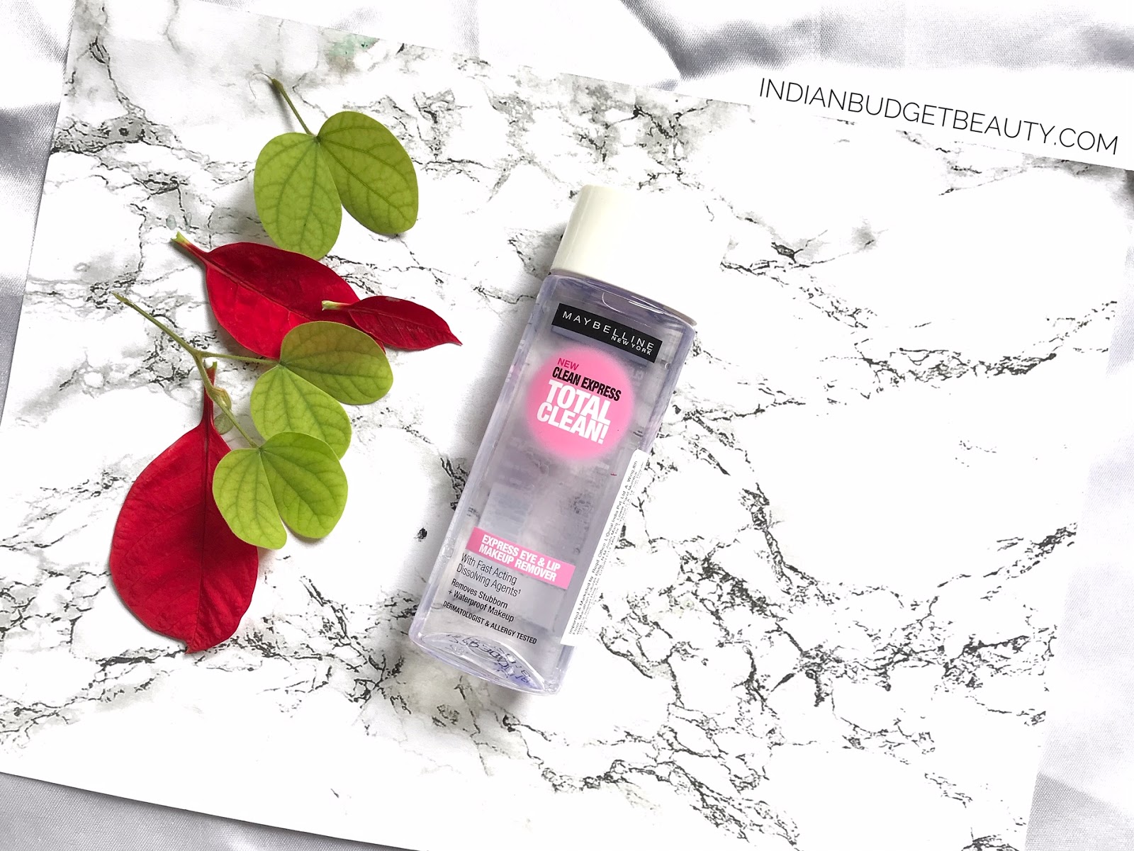 Best Waterproof Makeup Remover Only for Rs.300 (Under 5) Indian