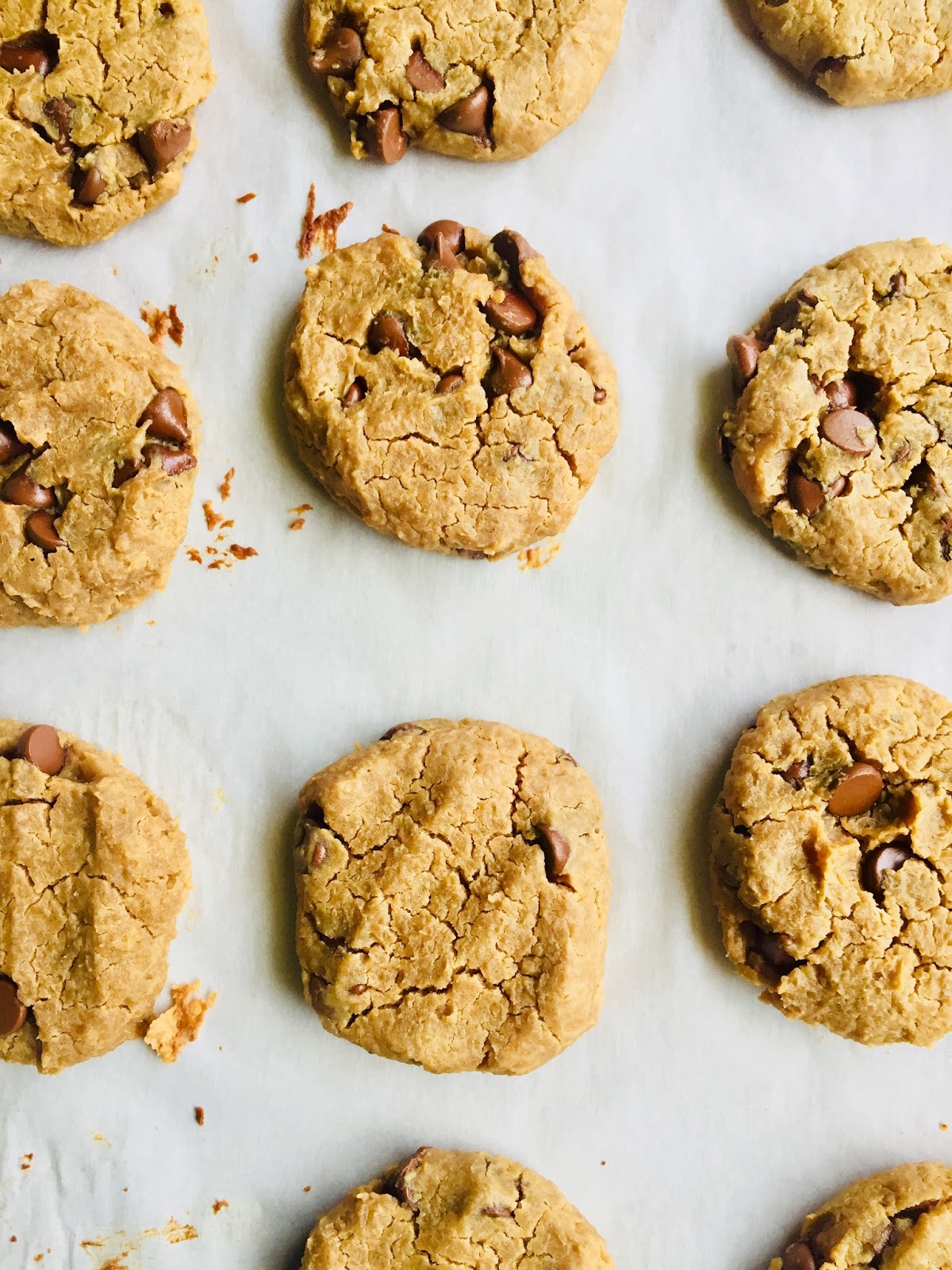 Healthy Chickpea Gluten Free Eggless Chocolate Chip Cookies