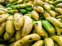 Wajib Baca!! Manfaat Konsumsi Pisang Tiap Hari untuk Kesehatan Anda Wajib Baca!! Manfaat Konsumsi Pisang Tiap Hari untuk Kesehatan Anda