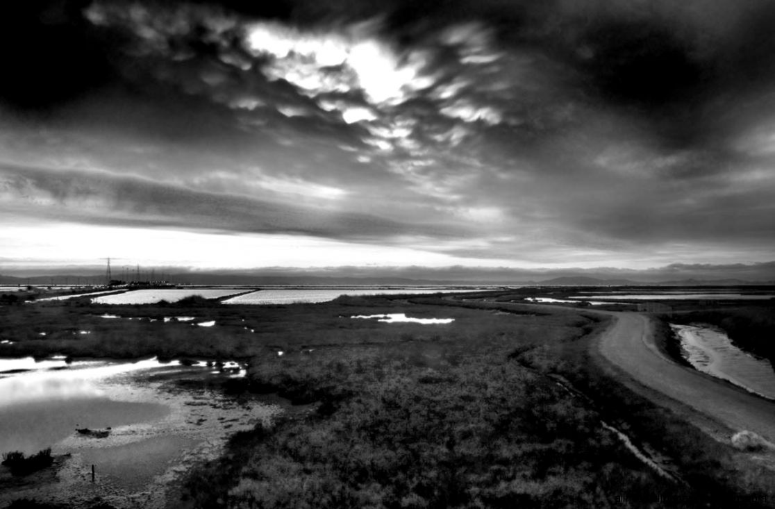 CECECE Color wallpapers Beach Strand Seaside Black White Nature