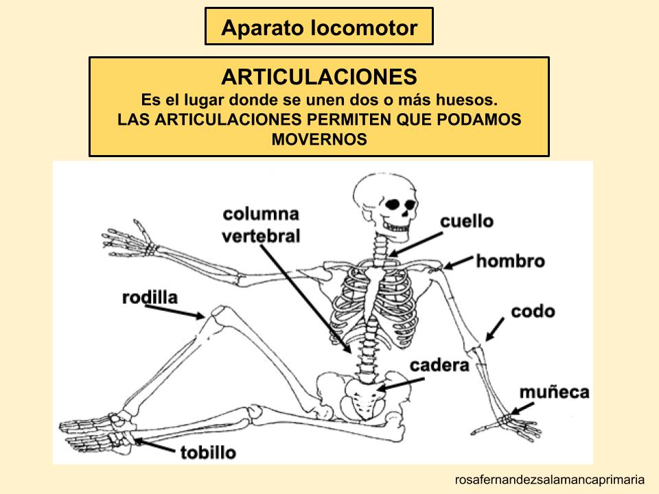 Que tomar para el dolor de huesos y articulaciones