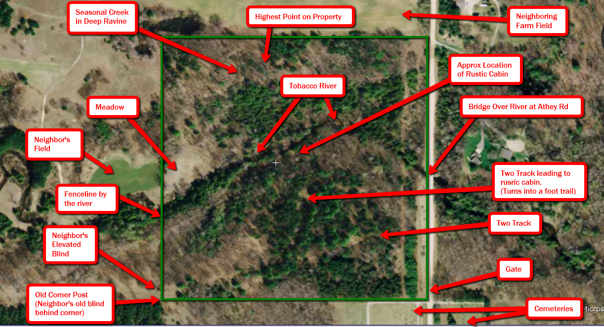 Gladwin Real Estate News 40 acres w/ Tobacco River, Clare MI SOLD!