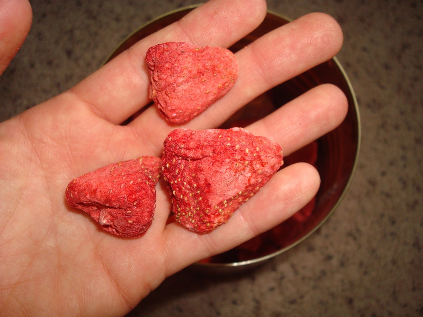 my family prepared Freeze Dried vs. Dehydrated Food