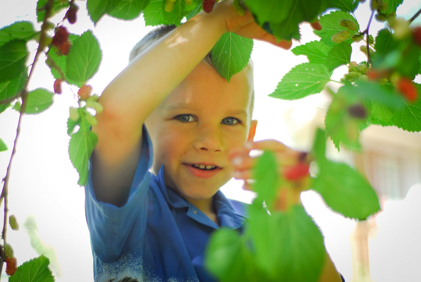 Homestead Revival Homestead Tour On Just A Couple of Acres