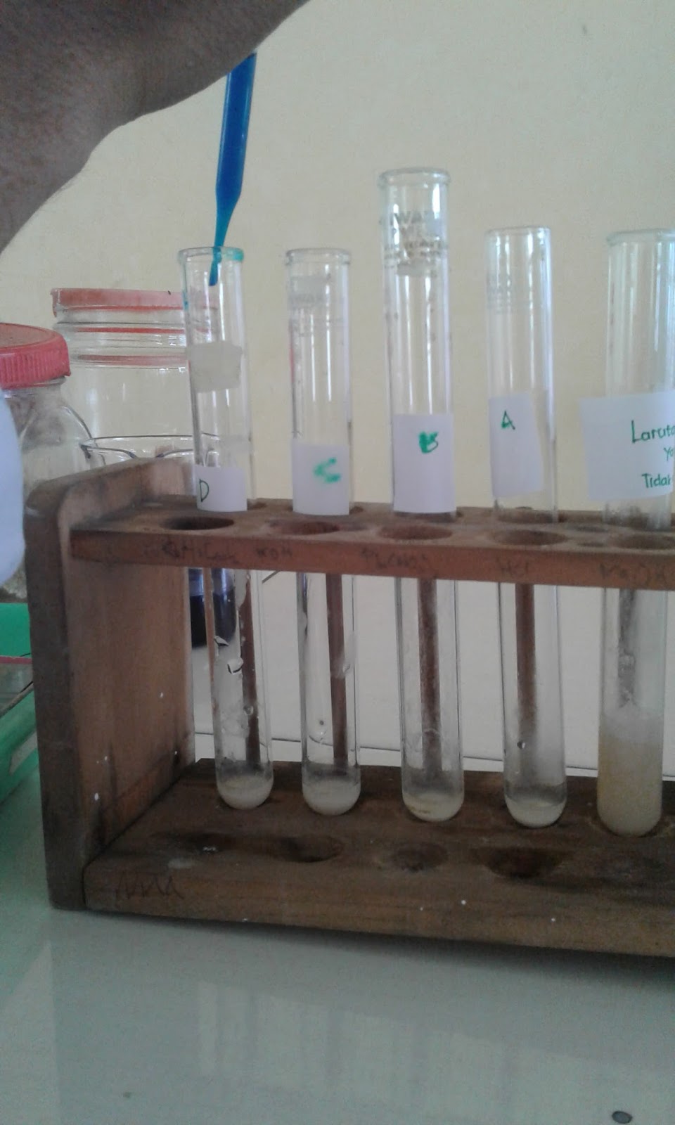 PRAKTIKUM FISIOLOGI HEWAN: Bismillah Laporan Proses Oksidasi dan Proses ...