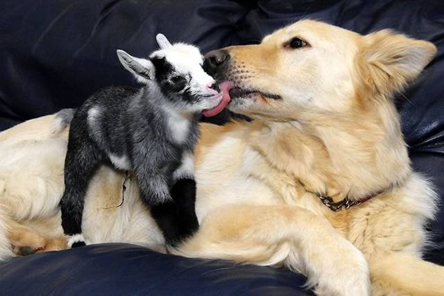 Ritemail_Picdump_004.jpg