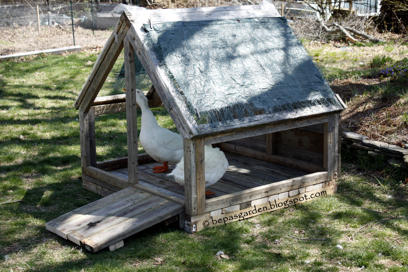 Bepa's Garden A duck house made from recycled materials