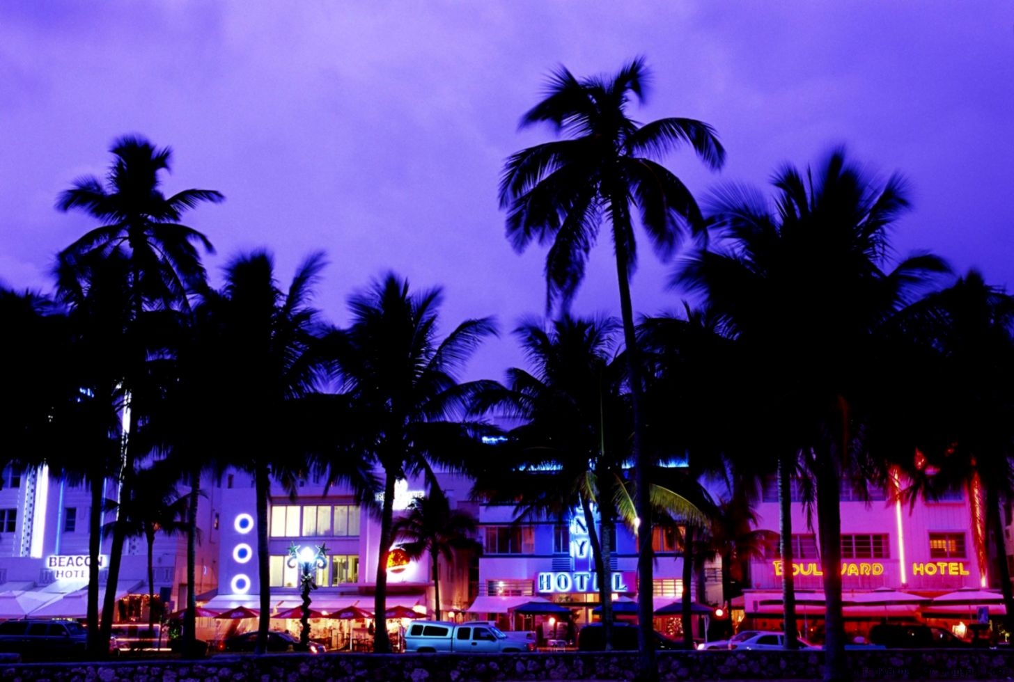 Webshots Wallpaper Jan 2009   Photo 24 of 125