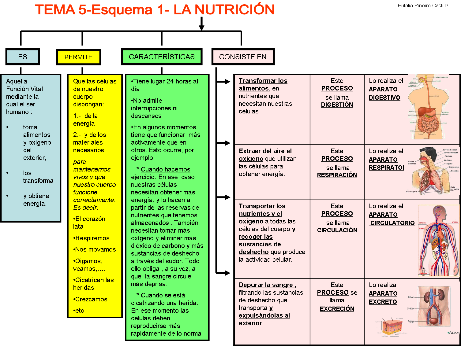 Bienvenidos al blog de la profesora