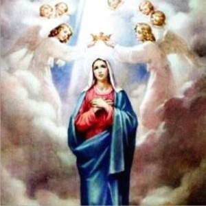 15 de Agosto Bom dia da Assunção de Nossa Senhora