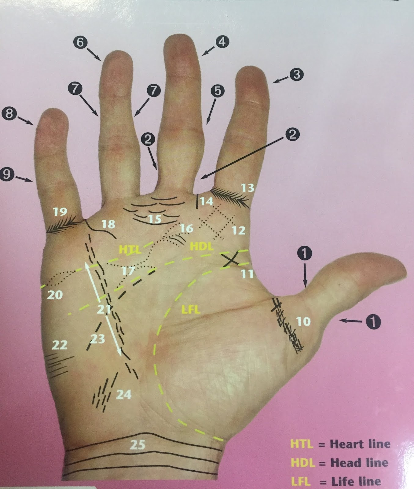 AyurHealing Inc. Hand Health Connection