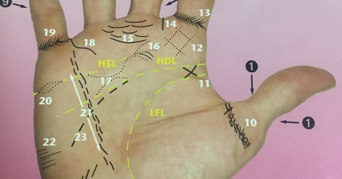 Hand Health Chart