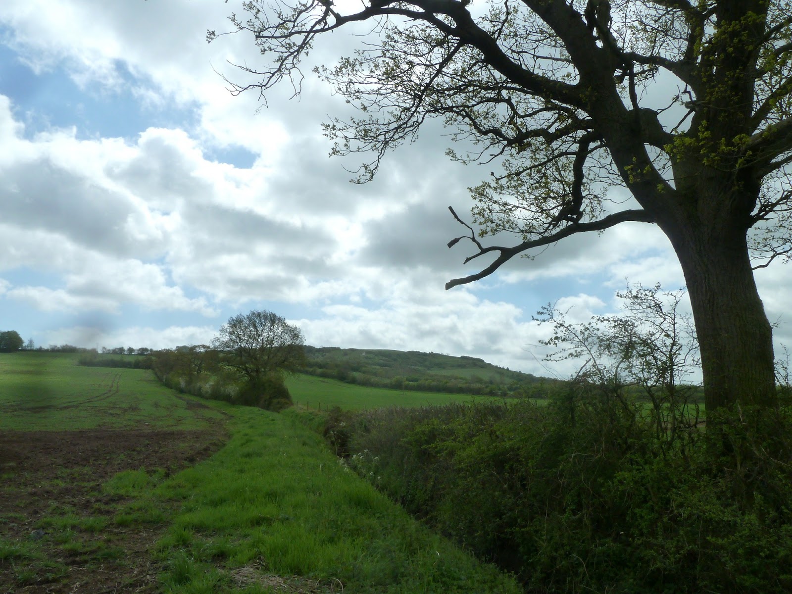 Devizes Days in Words and Pictures 2015 Out in the Wilds of Bromham