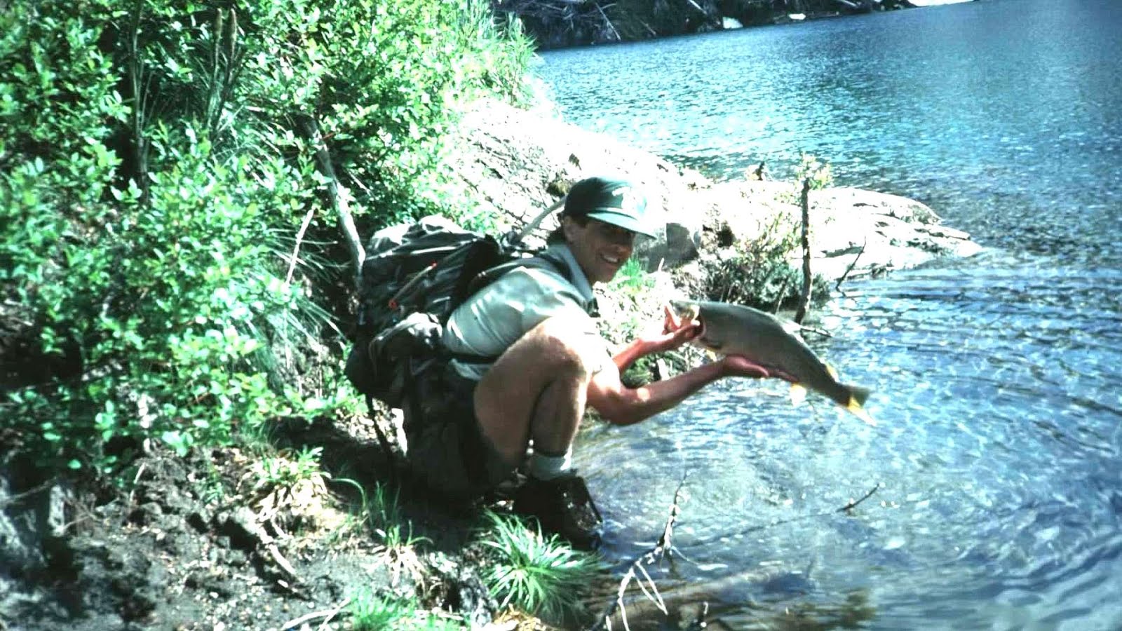 St Helens, Tasmania Fish - Fish Choices