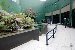 taman akuarium air tawar tmii