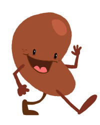 Brendan Tobin: Happy Kidney