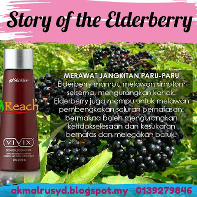 Manfaat Elderberry Untuk Kesihatan Yang Korang Perlu Tahu