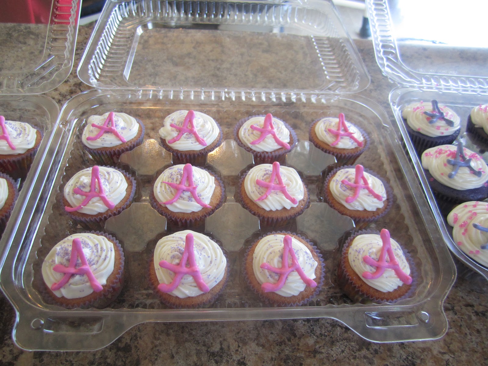 Alexandria's Creations Baby Shower Mini Cupcakes