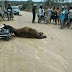 REGIÃO / Funcionário da Caixa Econômica de Mundo Novo sofre acidente de moto no povoado de Umbuzeiro