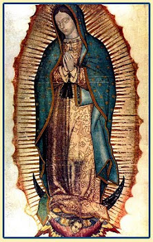 LA VIRGEN DE GUADALUPE EN EL CENTRO HISTÓRICO