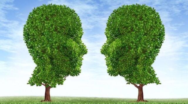 第三世多杰羌佛教弟子如何分辨上師 第三世多杰羌佛教弟子如何分辨上師