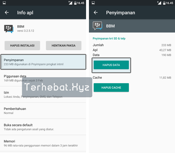 Bisa Bisa
