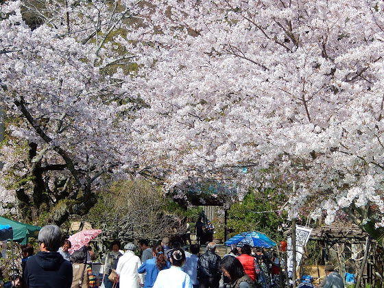 �������̍�