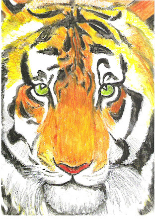 Tiger face pic