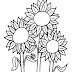 Best Sunflower Coloring Pages For Kids Images