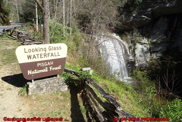 Looking Glass Waterfall Pisgah National Forest