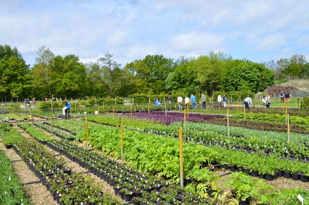 The Garden Spout: There’s no such thing as a small garden project!