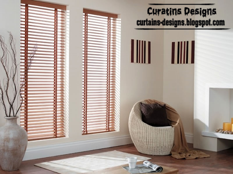 Modern French windows blinds design 2013