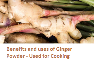 Benefits and uses of Ginger Powder - Used for Cooking Benefits and uses of Ginger Powder - Used for Cooking