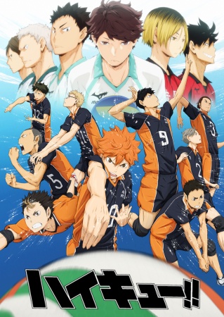 Haikyuu!! Haikyuu!!