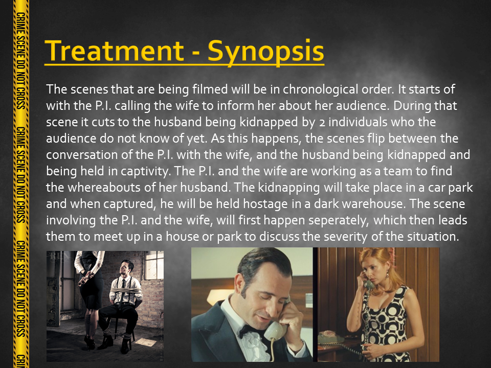 Режиссерский тритмент образец