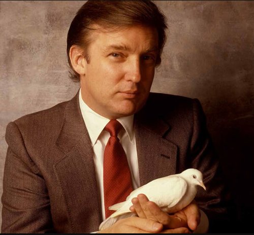 Image result for young donald trump