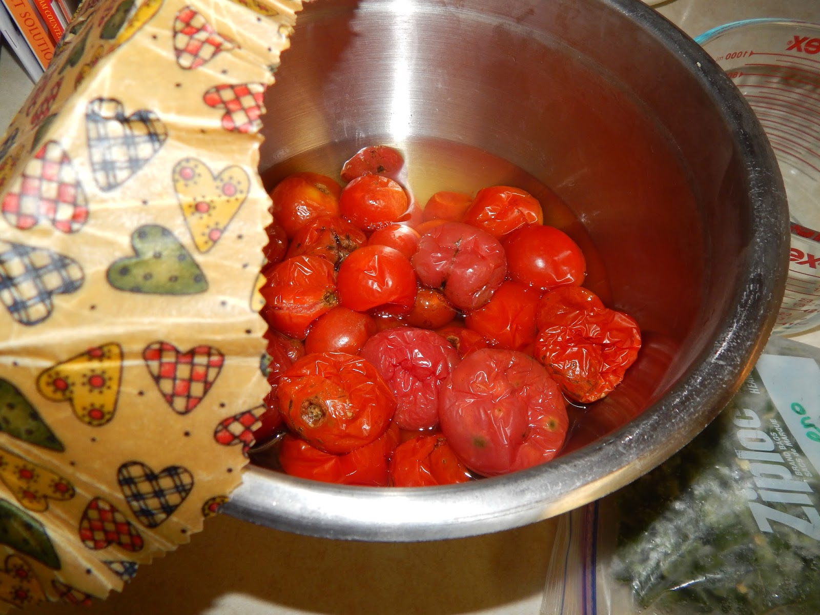 Thoughts from Frank and Fern Frozen Tomato Salsa Experiment