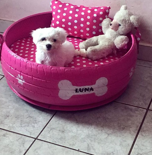 Llantas Camas Para Perros Con Material Reciclable Material