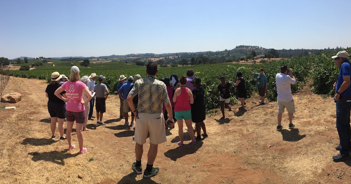 Top wineries in Amador Wine Region, California